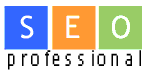 Professional SEO services