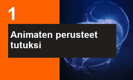 Adobe Animate kurssi: Animaten perusteet tutuksi