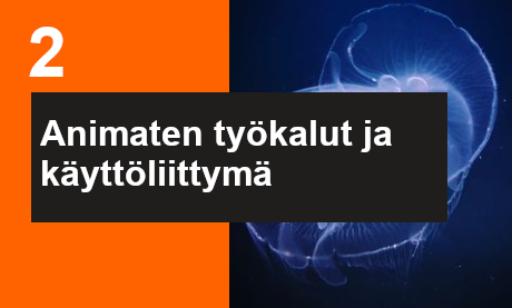 Adobe Animate kurssi: Työkalut ja käyttöliittymä tutuksi