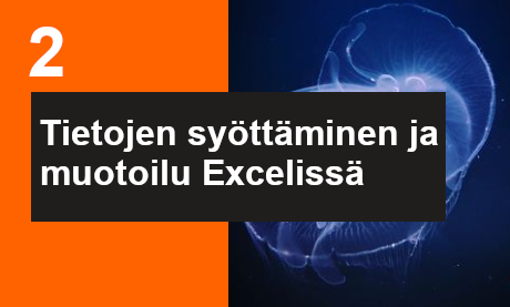 Ilmoittaudu Tietojen syöttäminen ja muotoileminen Excelissä koulutukseen