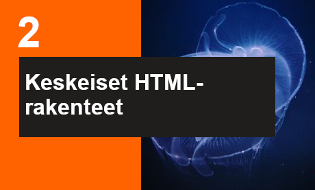 Ilmoittaudu HTML:n perusrakenteet koulutukseen
