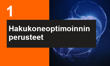 Ilmoittaudu Hakukoneoptimoinnin perusteet verkkosivustojen ylläpitäjille ja verkkokauppiaille koulutukseen