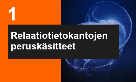 Ilmoittaudu Tutustuminen relaatiotietokantojen käsitteisiin  koulutukseen
