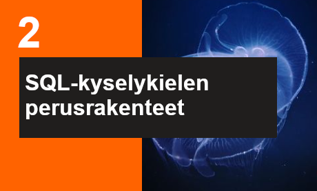 Ilmoittaudu SQL-kyselykielen perusteet ja rakenteet koulutukseen