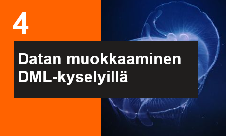Ilmoittaudu Datan muokkaaminen DML-rakenteilla  koulutukseen