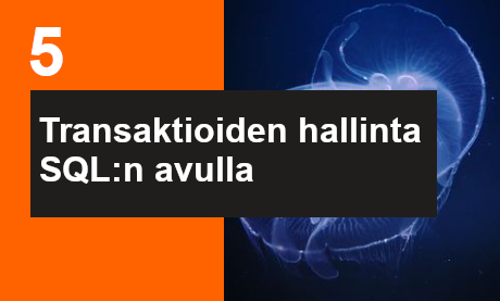 Ilmoittaudu Transaktioiden hallinta koulutukseen